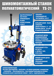 Комплект TS-21 Станок шиномонтажный 11-20"+ TS-450 Балансировочный стенд для легковых авто